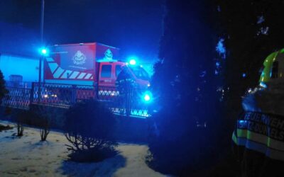 Brand einer Thujenhecke