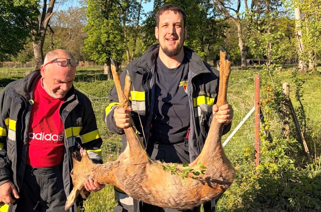 Tierischer Einsatz zum Start in den Florianitag