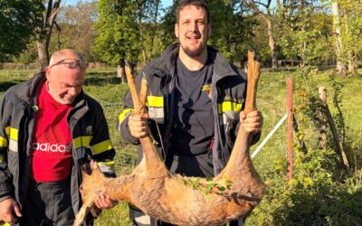 Tierischer Einsatz zum Start in den Florianitag